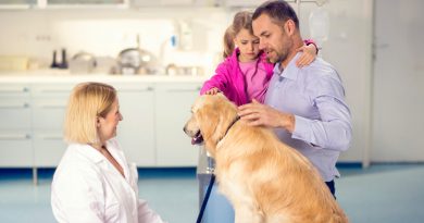 Ask your Veterinarian about Good Nutrition of your Pet