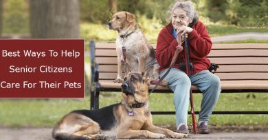 Senior Citizens Care For Their Pets