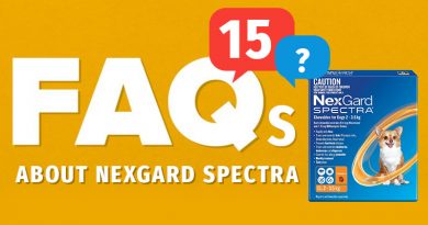 FAQs-about-nexgard-spectra