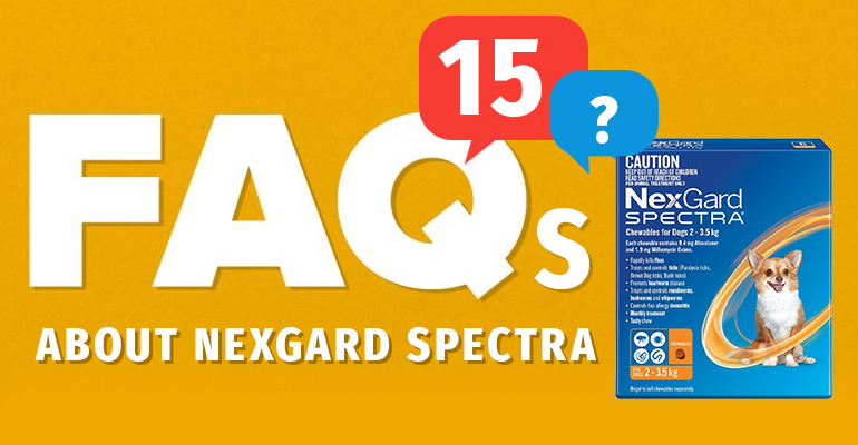 FAQs-about-nexgard-spectra