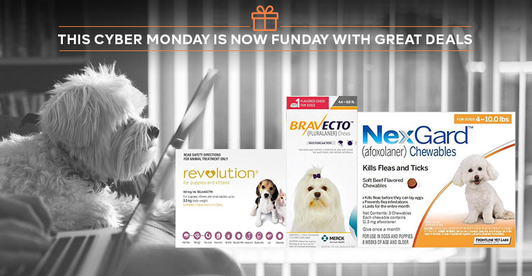 Cyber-Monday-pet-deals