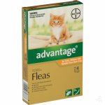 Advantage for cats |Budgetvetcare