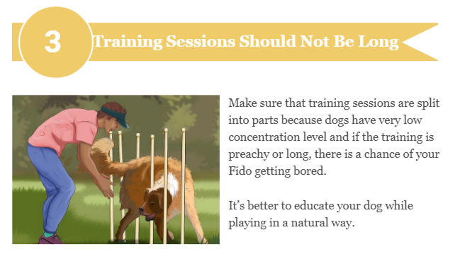 Train your Dogs