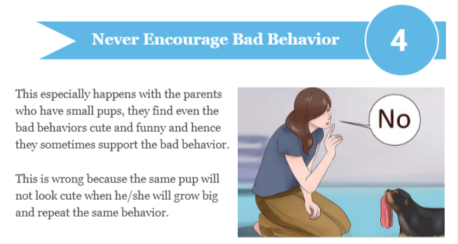 Encourage positive behaviors in your dog