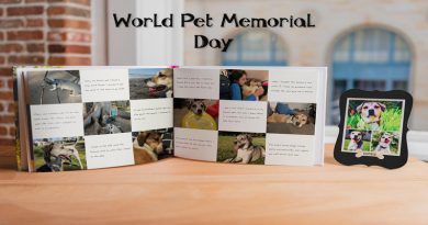 World Pet Memorial Day
