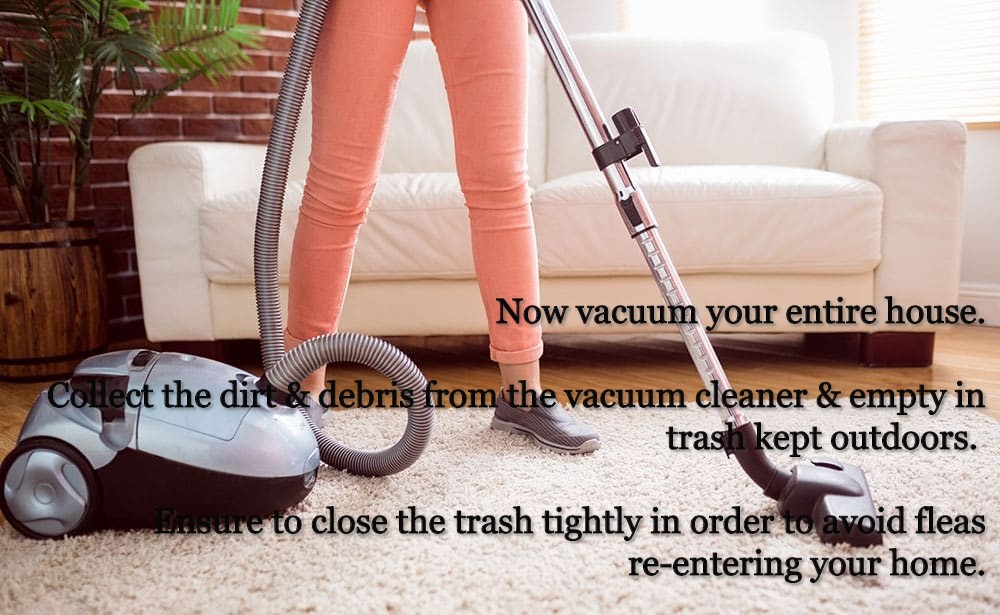 vacuuming entire house