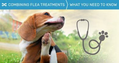 Combining Flea Treatments