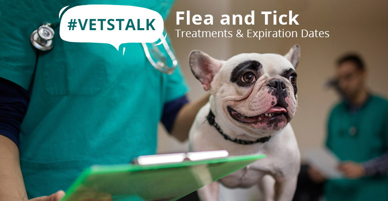VetsTalk :Flea and Tick Treatments and Expiration Dates