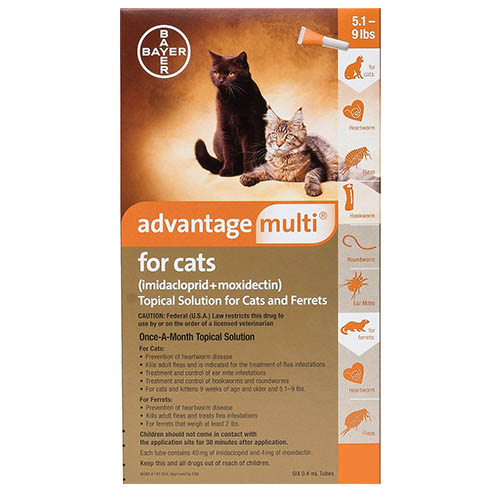 advantage-multi-advocate-kittens-and-small-cats-up-to-10lbs-orange