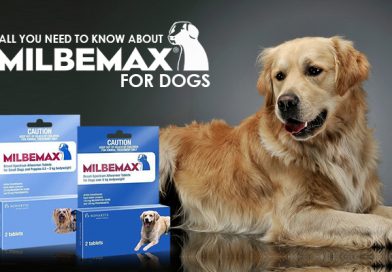 Milbemax-Dogs