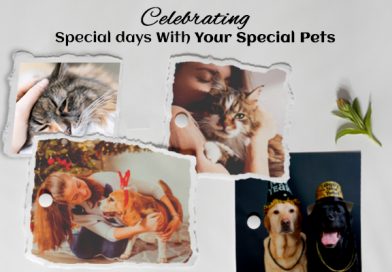 Celebrating Special days With Your Special Pets