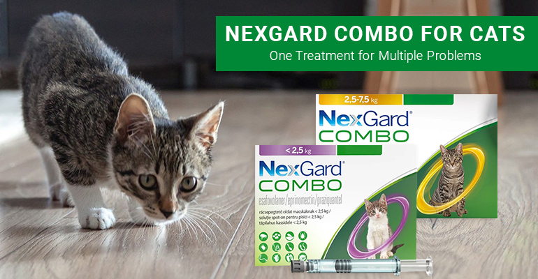 Know about NexGard Combo Spot-On for Cats