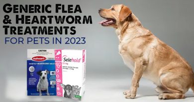 Generic Flea & Heartworm Treatments for Pets in 2023