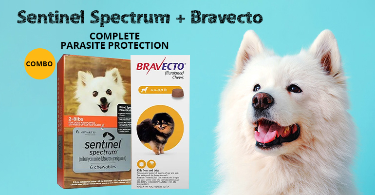 Bravecto and Sentinel Spectrum Combo for Dogs