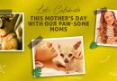 Mothers Day Celebration with Pet