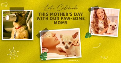 Mothers Day Celebration with Pet