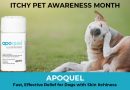 Apoquel – Fast, Effective Relief for Dogs with Skin Itchiness