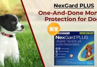NexGard PLUS One-And-Done Monthly Protection for Dogs