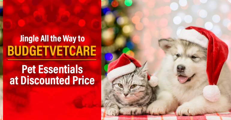 Budgetvetcare Christmas Special Deals