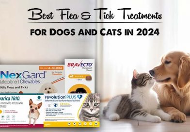 No matter the season, fleas and ticks are terrible to deal with. Therefore, veterinarians across the globe recommend using flea and tick prevention treatments for pets year-round. In this blog, we have listed the 5 best flea and tick treatments in 2024 along with some information on how to use them correctly to help pet parents shield their furry companions effectively. Best Flea & Tick Treatments – Our Top Picks 1. Nexgard for Dogs – Best Flea & Tick Chew NexGard is one of the most effective oral chewable treatments for fleas and ticks. Each soft beef-flavored chewable dose of NexGard lasts for one month and is active against fleas, Lone Star ticks, black-legged ticks, American dog ticks, and brown dog ticks. NexGard protects from various flea and tick-borne diseases including Lyme disease in dogs. NexGard is the perfect flea and tick chewable for dogs, especially if you want to avoid messy spot-on applications. The chew is highly palatable and is easily accepted by dogs. NexGard chewables are available in four different pack sizes for small dogs, medium dogs, large dogs, and extra large dogs. 2. Bravecto for Dogs – Best 3 Monthly Chew Bravecto is the longest-lasting flea and tick chew for dogs. One dose of Bravecto lasts for 12 weeks, offering three times longer powerful protection to your dog as compared to other flea and tick oral chews. It kills fleas and multiple tick species including black-legged ticks, American dog ticks, brown dog ticks, and Asian longhorned ticks. Bravecto chews for dogs are easy and convenient to use. The meat-flavoring and soft texture is loved by dogs, so you don’t have to hide the pills in cheese, peanut butter, or fruits. Bravecto chews are available in different strengths for toy dogs, small dogs, medium dogs, large dogs, and extra large dogs. 3. Simparica Trio for Dogs – Best All-Rounder Chew Simparica Trio is a triple-action chewable treatment that protects your dog with three proven ingredients designed for defense. It not only protects your dog from fleas and ticks, but also works against heartworm disease, roundworms, and hookworms. Simparica Trio effectively blocks infections that may cause Lyme disease by killing deer ticks. It prevents flea infestations by killing fleas before they can even lay eggs. It starts killing fleas within 4 hours and offers 100% effectiveness against fleas in 8 hours. Simparica Trio chews are safe for puppies as young as 8 weeks old, weighing at least 2.8 lbs. 4. Revolution Plus for Cats – Best 6-in-1 Spot-on Revolution Plus is a 6-in-1 topical spot-on treatment for cats. One application a month can help protect your cat from both indoor and outdoor parasites. Revolution Plus is highly effective against fleas, ticks, ear mites, roundworms, hookworms, and heartworms. It starts killing fleas within 6 hours and kills 100% of adult fleas for 5 weeks. It controls 3 types of ticks including black-legged ticks (a.k.a. deer ticks) American dog ticks and Gulf Coast ticks. Revolution Plus is available in three pack sizes for small cats, medium cats, and large cats. 5. Bravecto Plus for Cats – Best Topical Solution Bravecto Plus spot-on is a powerful broad-spectrum parasite preventative for cats. It protects cats from fleas, ticks, and heartworm for two months and treats intestinal worms such as roundworms and hookworms. It is quite simple to apply and can be safely used on cats and kittens older than 6 months of age, weighing at least 2.6 lbs. Bravecto Plus comes in three different pack sizes for small, medium, and large cats. Common Mistakes to Avoid When Using Flea and Tick Products on Pets Getting rid of bloodthirsty parasites like fleas and ticks can be challenging. Here’s what you should keep in mind in order to use flea and tick treatment on your pets correctly: • Use the correct pack sizes. Ensure that you use the appropriate dosage for your pet based on their weight. Read the dosage guidelines provided by the manufacturers and choose the appropriate strength or pack size for your pet to ensure the efficacy of the product. • Select the correct application site. If you're using topical tick and flea products, apply them in areas that are hard for your pet and other pets to reach, like the back of the neck or between the shoulder blades to prevent accidental ingestion. • Isolate the pet after application. If you are using topical products, isolate your pet for a few minutes until the application site dries. Otherwise, other pets may accidentally lick the product while grooming or playing with each other. • Monitor your pet for side effects. All brand-name flea and tick treatments are generally safe for pets; however, it is always advisable to monitor for any signs of adverse reactions like skin irritation, excessive scratching, or behavioral changes. If you notice any reactions, contact your vet immediately. • Never miss a dose. Staying consistent is the key to keeping your pet safe from fleas and ticks. Even if you miss a dose, administer the next dosage as soon as possible to ensure your pet remains protected from the bugs. • Keep your environment clean. Regularly clean and vacuum your bedding, carpets, and furniture to eliminate fleas from your environment. A single flea or tick left in your surroundings can multiply into a whole new infestation again. • Consult your veterinarian. Never use any flea and tick treatment without consulting your veterinarian. They can recommend the most suitable product for your furry companion based on their age, health status, and species. The Bottom Line That was our list of the best flea and tick treatments in 2024! Please note that the products we have listed here were selected on the basis of their popularity on our website BudgetVetCare but we have many other options for you to explore. If you want to save yourself and your pet from the troubles of fleas and ticks, consider using a flea and tick treatment year-round. Always keep the above tips in mind to use your flea and tick treatments correctly and consult your veterinarian immediately in case of any doubts