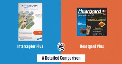 Interceptor Plus vs. Heartgard Plus: A Detailed Comparison
