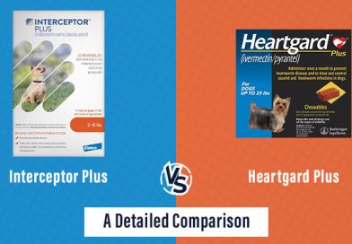 Interceptor Plus vs. Heartgard Plus: A Detailed Comparison