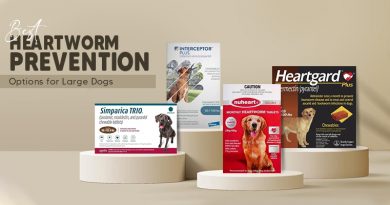 Best Heartworm Prevention Options for Large Dogs