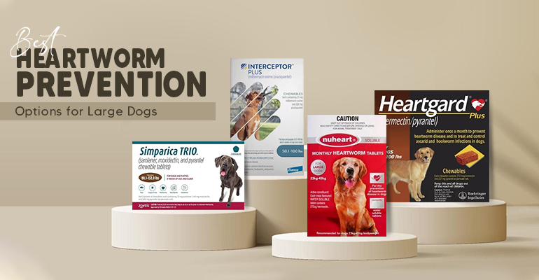 Best Heartworm Prevention Options for Large Dogs