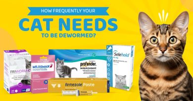 How Frequently Your Cat Needs to Be Dewormed?