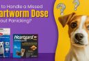 Missed Heartworm Dose​