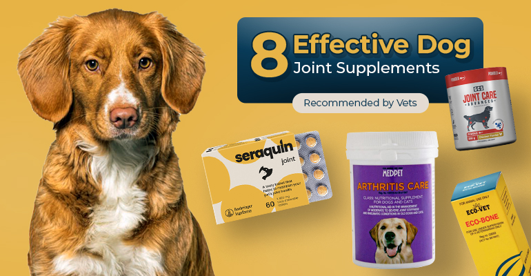 Effective Dog Joint Supplements Recommended by Vets