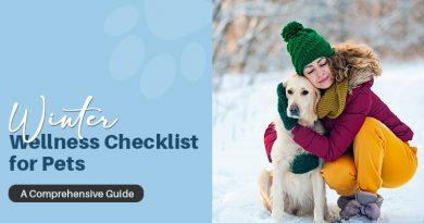 how to keep pets safe in cold weather