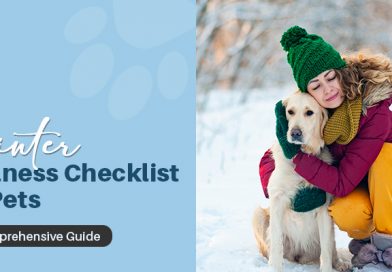 how to keep pets safe in cold weather