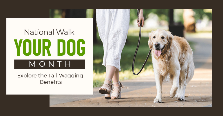 National Walk Your Dog Month
