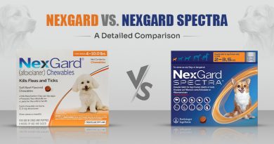 nexgard-vs-nexgard-spectra-a-detailed-comparison