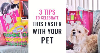 Celebrate This Easter With Your Pet