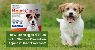 Heartworm-Prevention-Heartgard-Plus