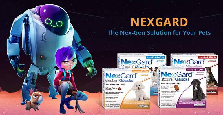 Nexgard The Nex Gen Solution For Your Pets BudgetVetCare Blog
