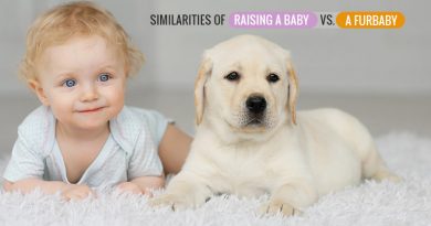 Raising a Baby vs. a Furbaby
