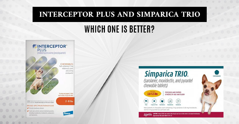 Interceptor Plus vs Simparica Trio