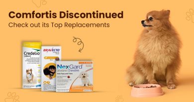 Comfortis Discontinued: Check out its Top Replacements