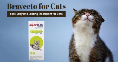 Bravecto-for-Cats
