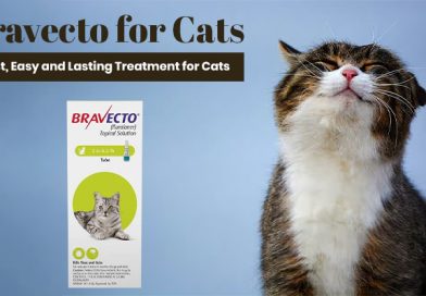 Bravecto-for-Cats