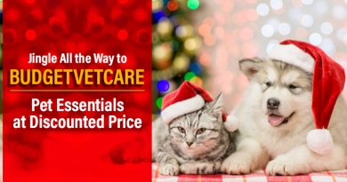 Budgetvetcare Christmas Special Deals