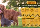 Ecovet – A Guide to Natural Pet Wellness