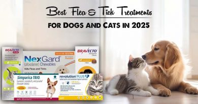 Best Flea & Tick Treatments for Dogs and Cats in 2025