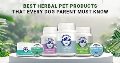 Best Herbal Pet Products That Every Dog Parent Must Know