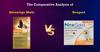 The Comparative Analysis of Advantage Multi & Nexgard