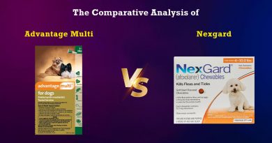 The Comparative Analysis of Advantage Multi vs Nexgard