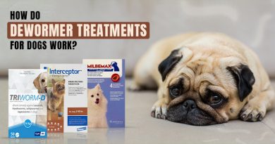 how do dewormers work in dogs
